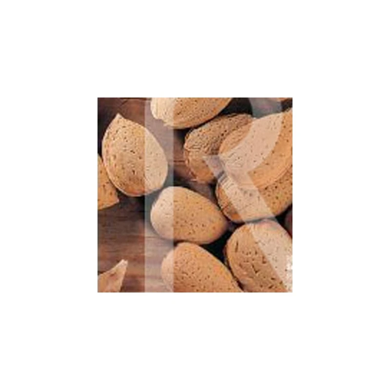 Almendro Guara 1 Almendro Guara