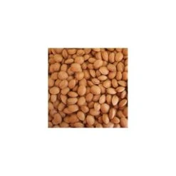 Almendro Glorieta 7 Almendro Glorieta -Tienda de Bonsáis Hechos a Mano almendro glorieta 2