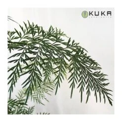 Grevillea Robusta 6 Grevillea Robusta -Tienda de Bonsáis Hechos a Mano grevillea robusta 2